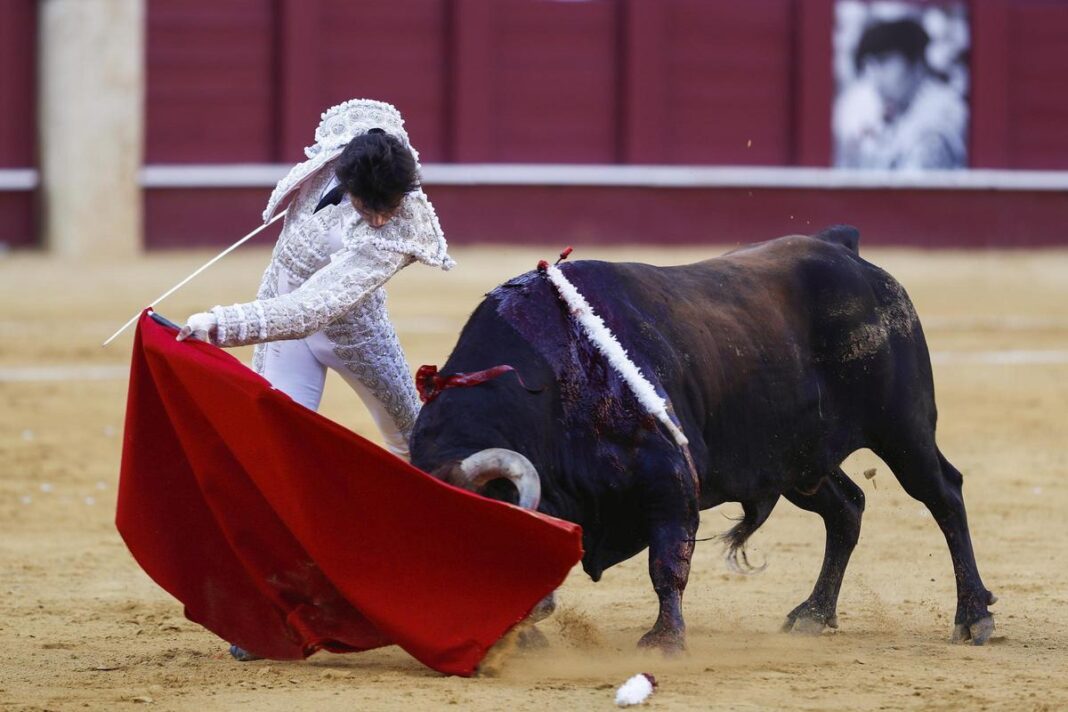 fortes,-el-sueno-de-todo-nino-que-quiere-ser-torero