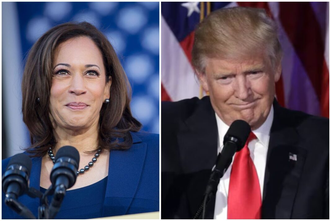 ¿quien-gana-las-elecciones-en-eeuu.-2024?-asi-estan-las-encuestas-entre-trump-y-kamala-harris-hoy,-viernes-1°-de-noviembre