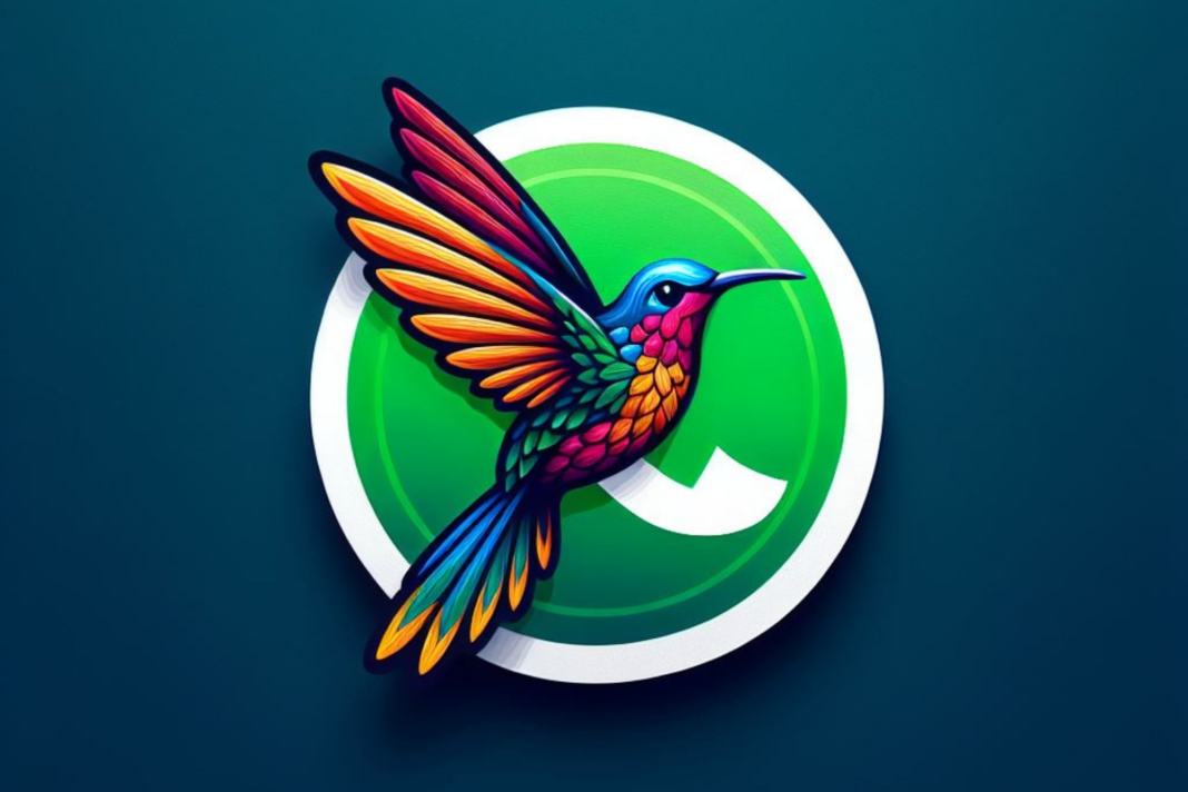 como-activar-el-“modo-colibri”-en-whatsapp